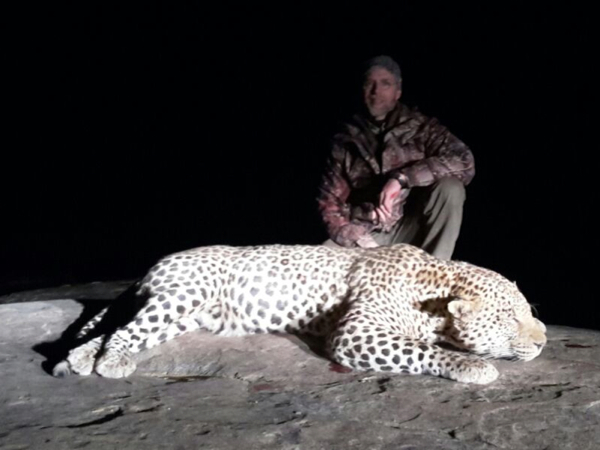 hunting-leopard-008