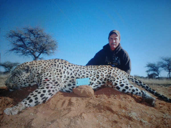 hunting-leopard-009