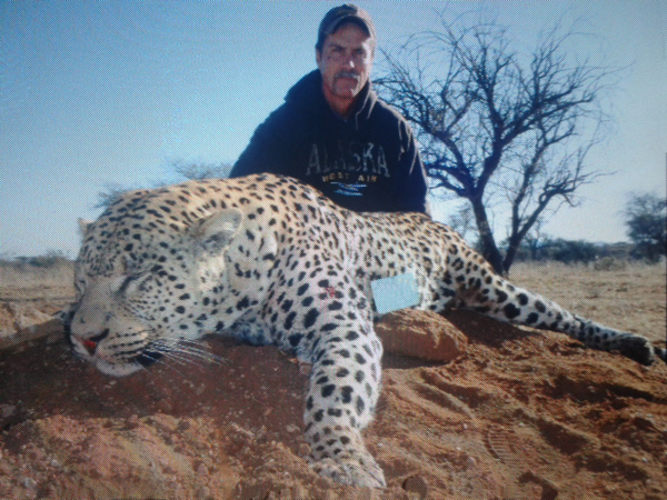 hunting-leopard-010