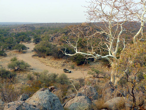 hunting-namibia-021